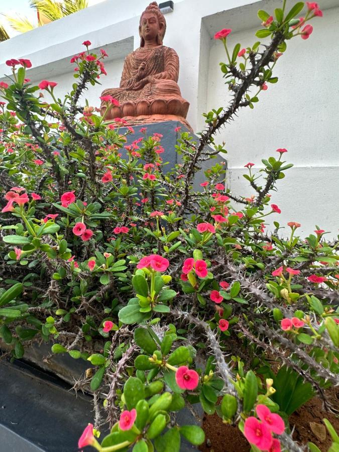 Buddha Beach Hotel Kovalam Dış mekan fotoğraf